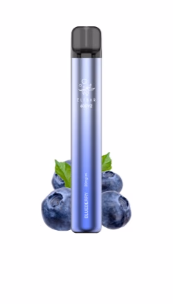 ELFBAR 600V2 Blueberry