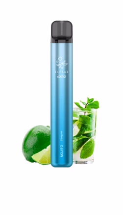 ELFBAR 600V2 Mojito