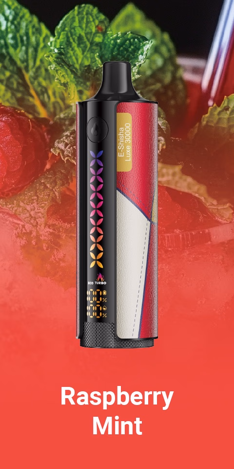 E ShishaLuxe 30000 Raspberry Mint